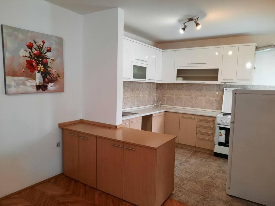 Apartman Lan - Free Parking Vranje Exterior photo